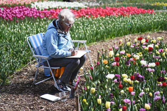 Russia Environment Tulips Exhibition