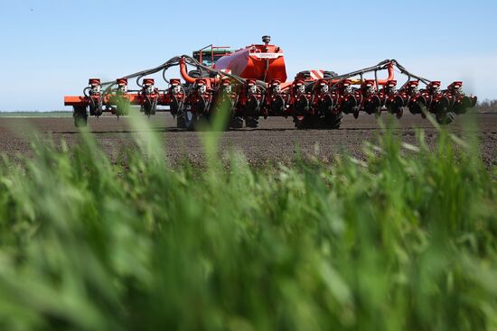 Russia Agriculture Sowing