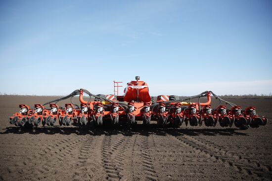 Russia Agriculture Sowing