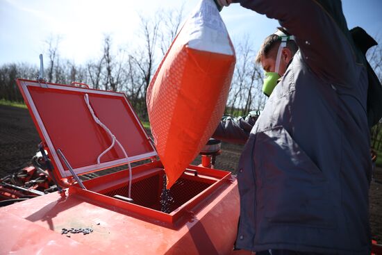 Russia Agriculture Sowing