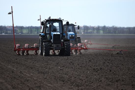 Russia Agriculture Sowing