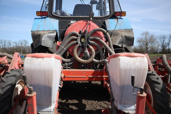 Russia Agriculture Sowing