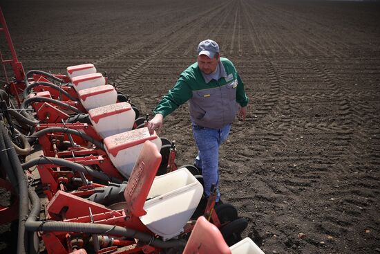 Russia Agriculture Sowing