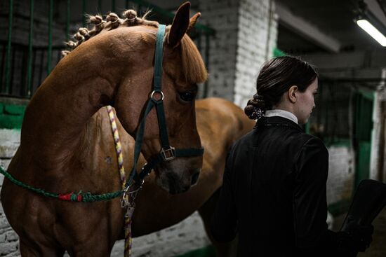 Russia Equestrian School