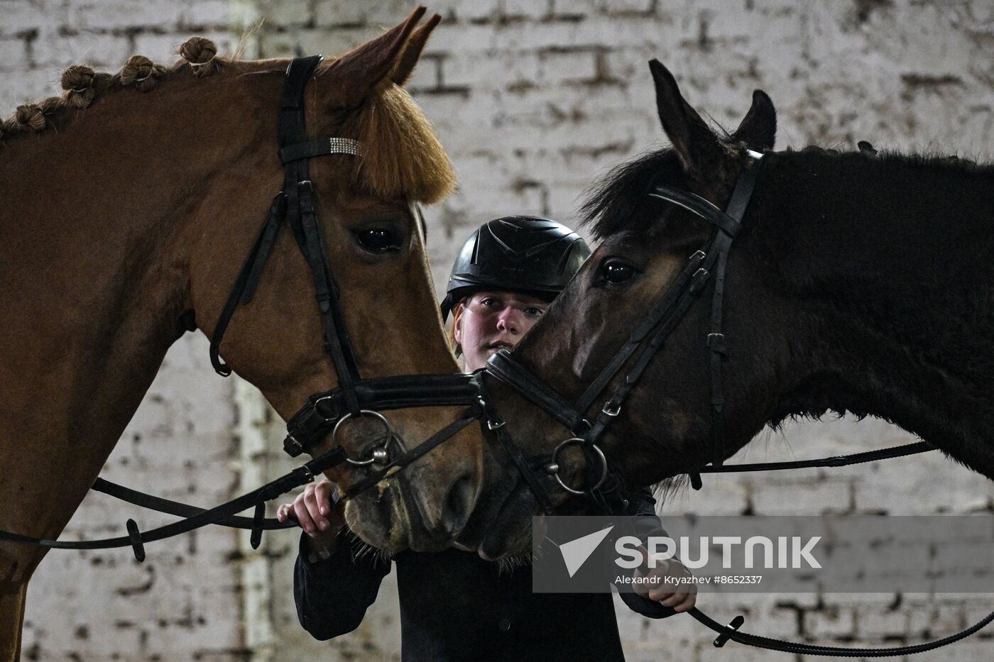 Russia Equestrian School