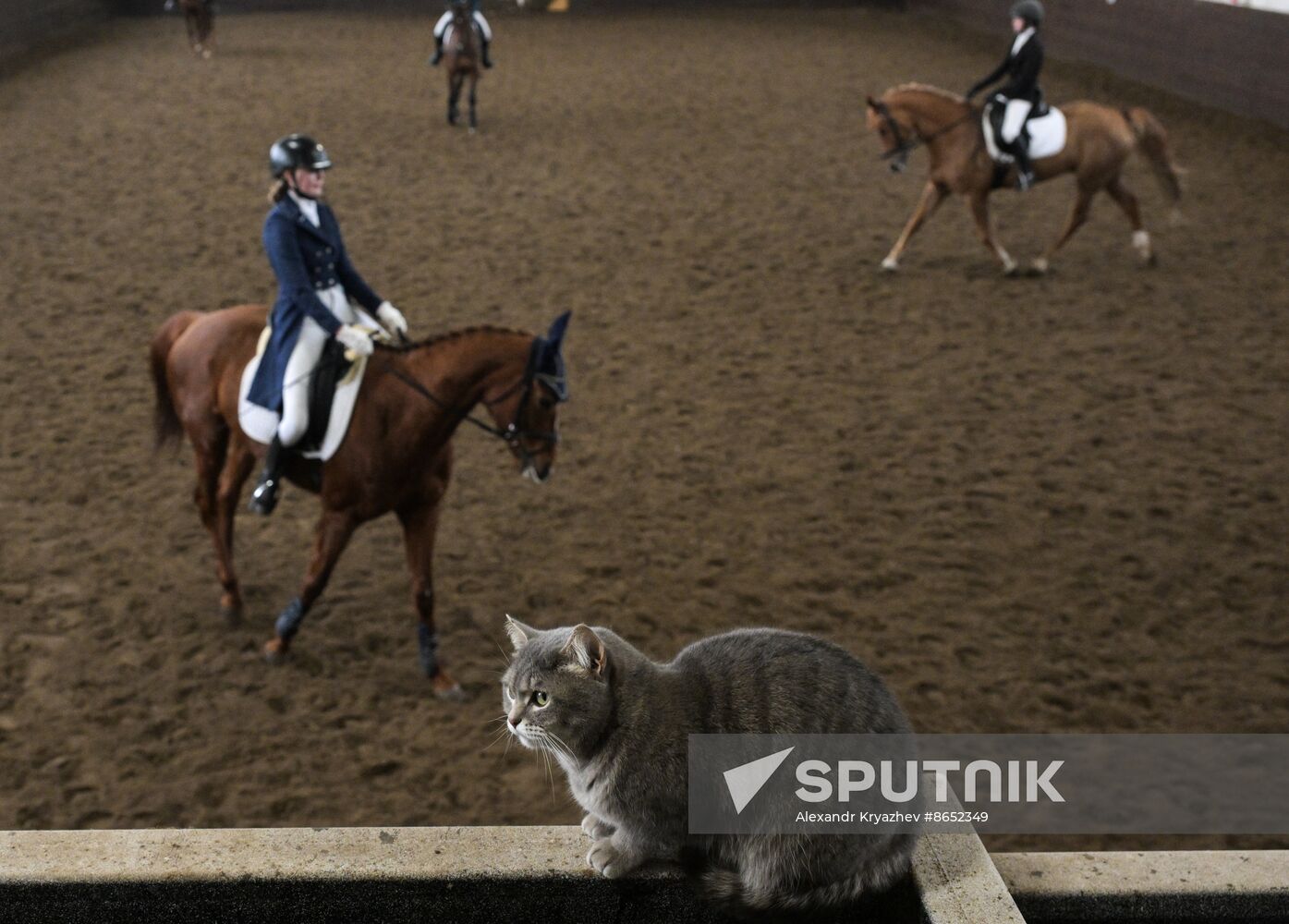 Russia Equestrian School