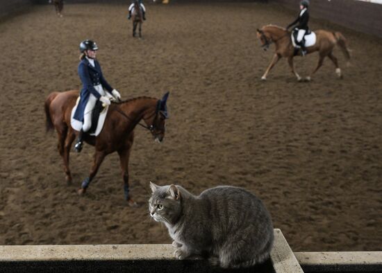 Russia Equestrian School