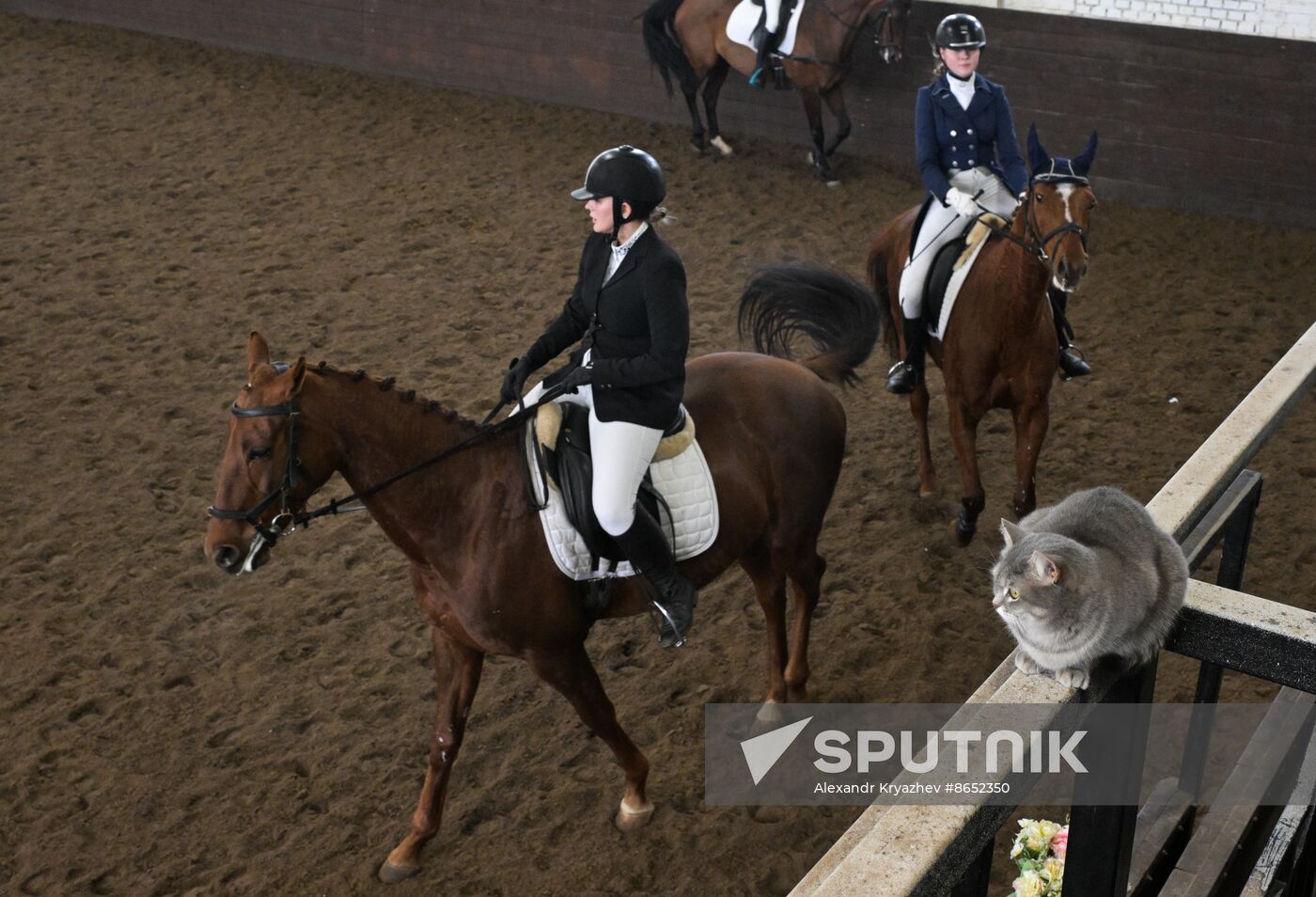 Russia Equestrian School