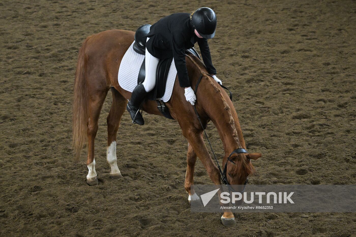 Russia Equestrian School