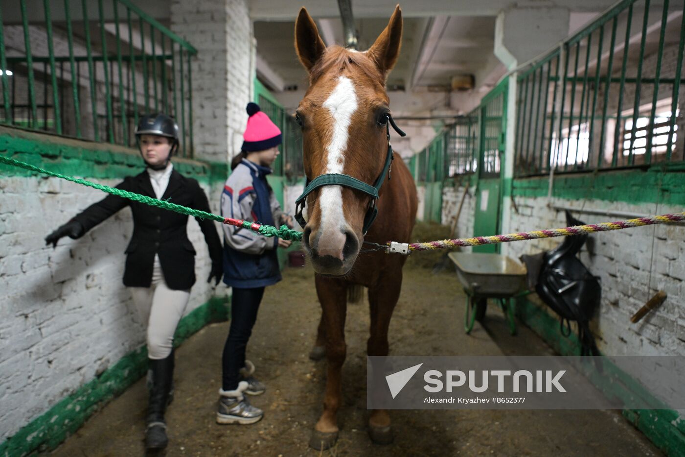 Russia Equestrian School