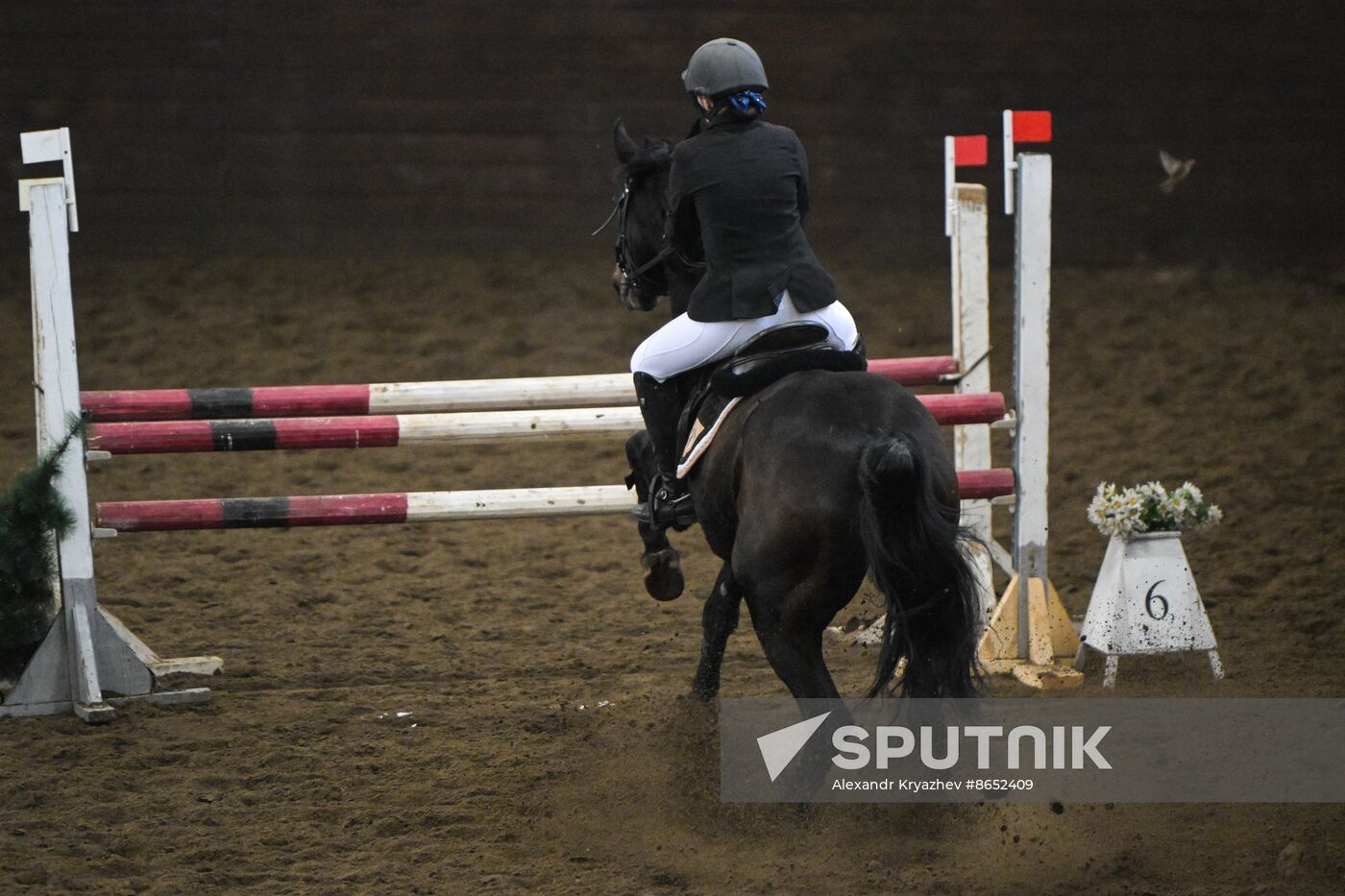 Russia Equestrian School