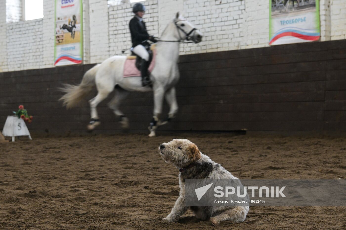 Russia Equestrian School