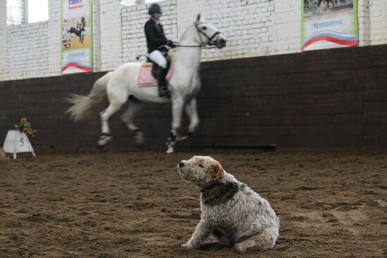 Russia Equestrian School