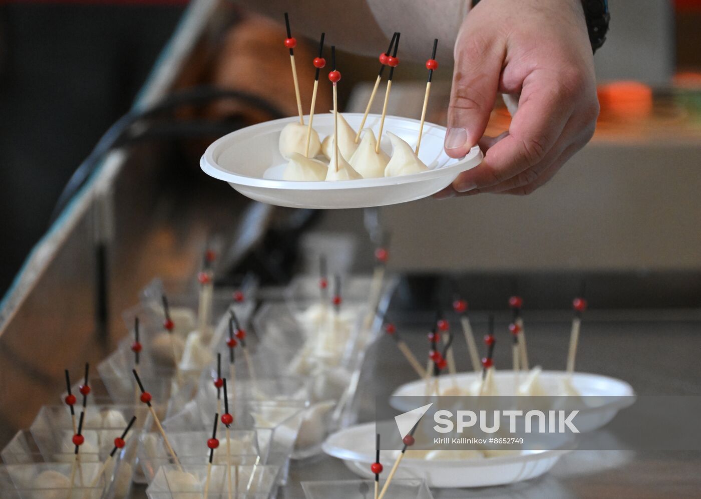 RUSSIA EXPO. Pollock Festival, Oh, Mega-Taste!