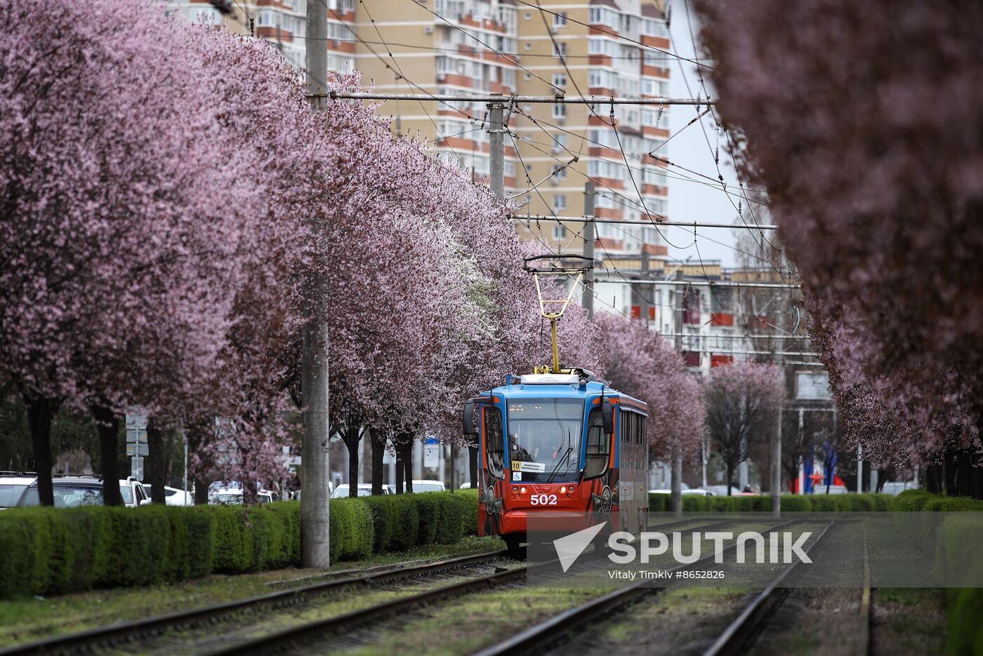 Russia Daily Life