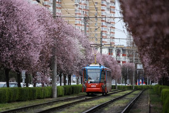 Russia Daily Life