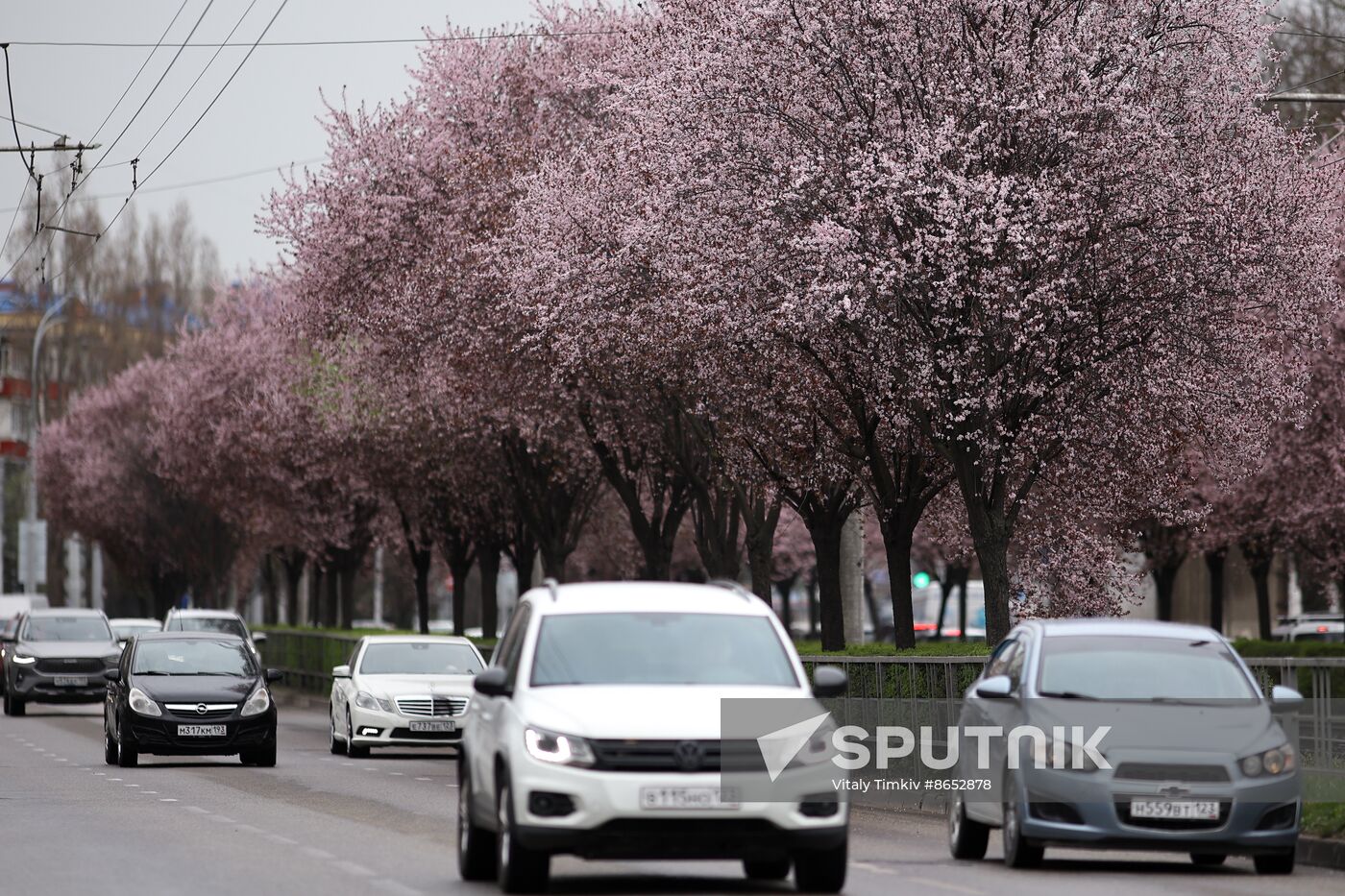 Russia Daily Life