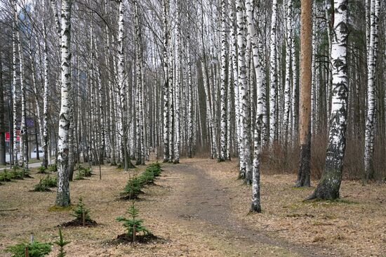 Russia Environment