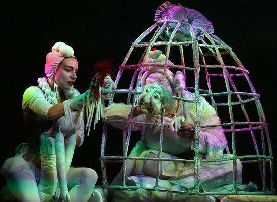 Russia Puppet Theatre Imaginary Invalid