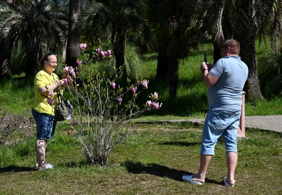 Russia Environment Cherry Blossom