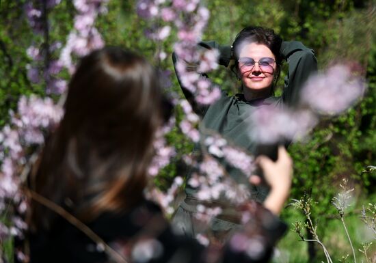 Russia Environment Cherry Blossom