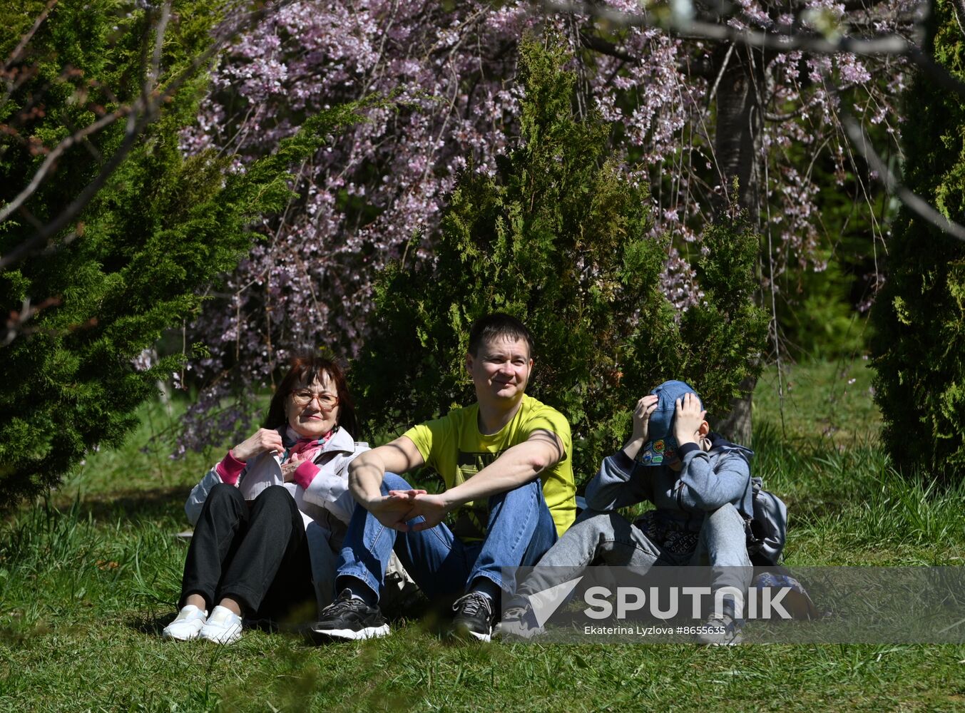 Russia Environment Cherry Blossom