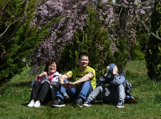 Russia Environment Cherry Blossom