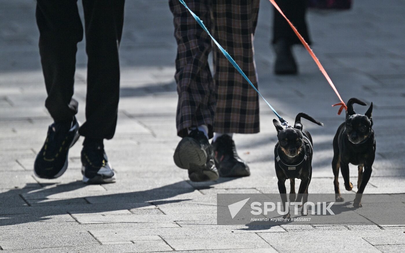 Russia Daily Life