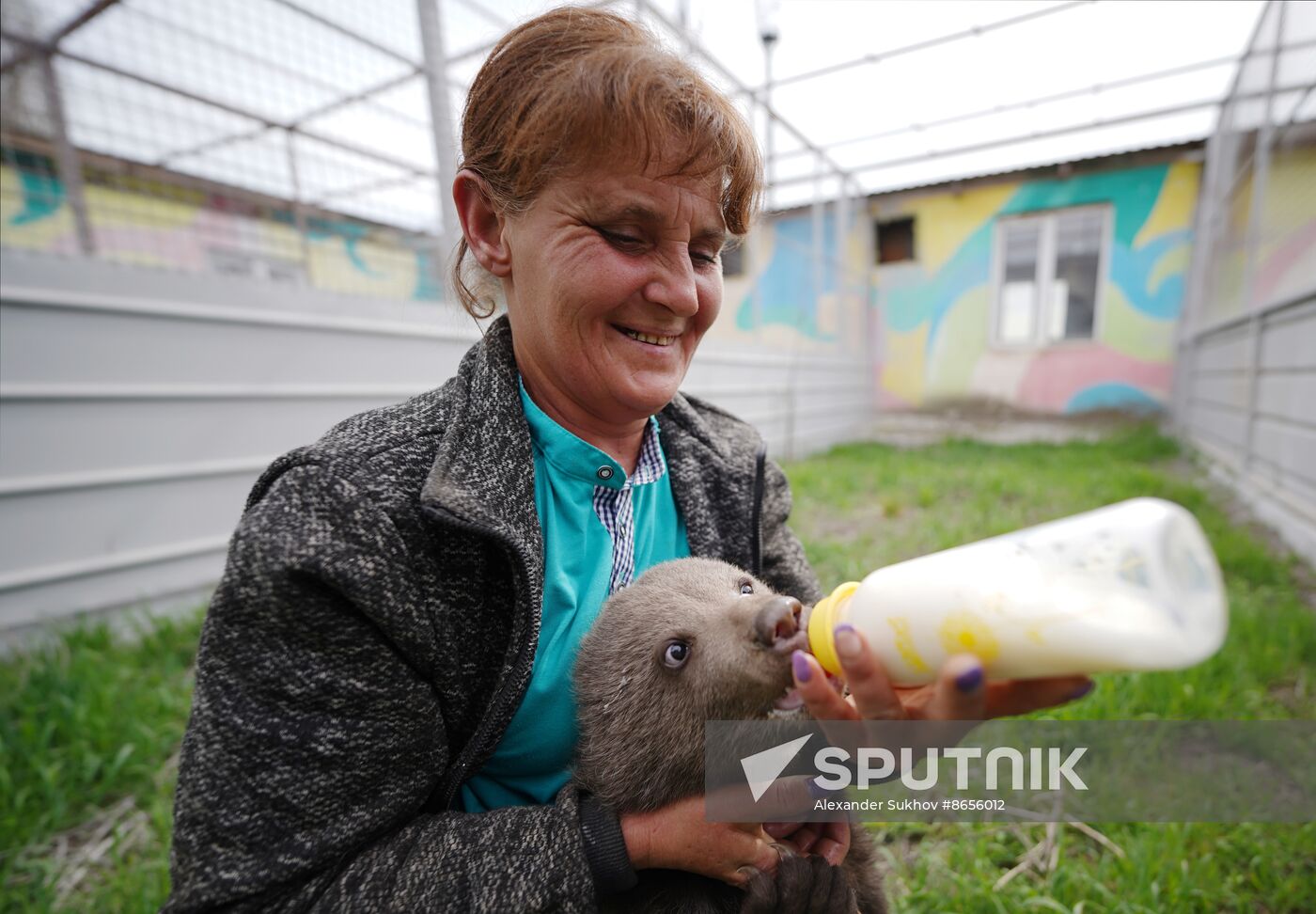 Russia DPR Zoo Bear Cubs