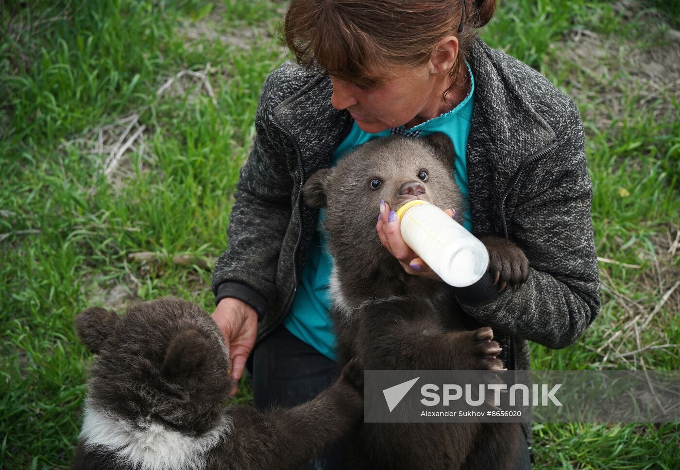 Russia DPR Zoo Bear Cubs