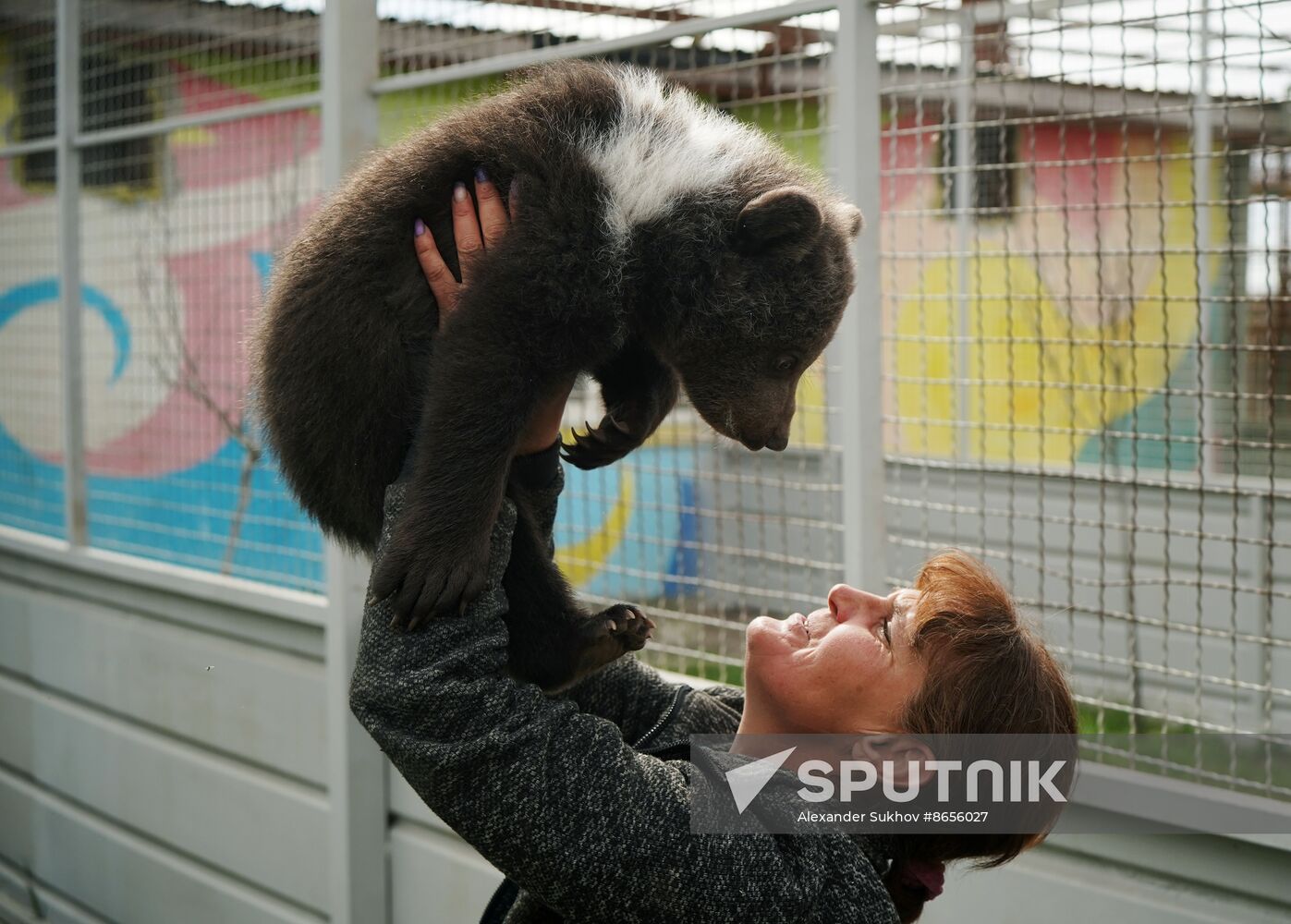 Russia DPR Zoo Bear Cubs