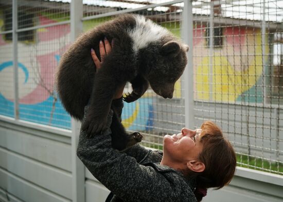 Russia DPR Zoo Bear Cubs