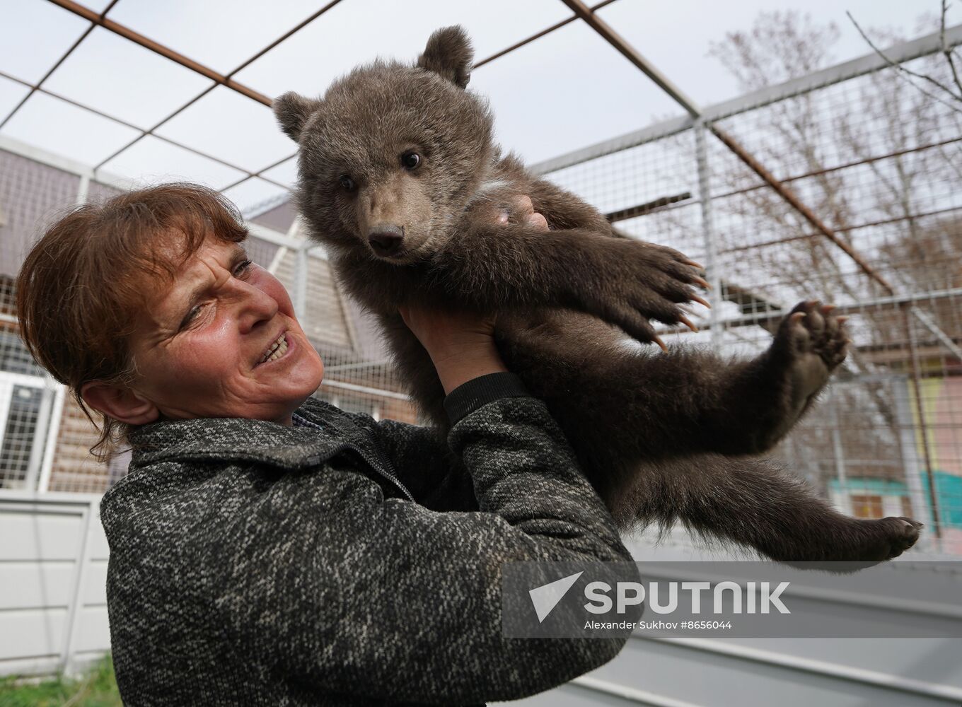 Russia DPR Zoo Bear Cubs