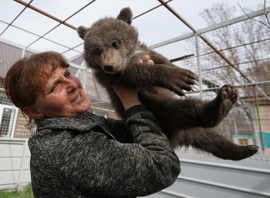 Russia DPR Zoo Bear Cubs