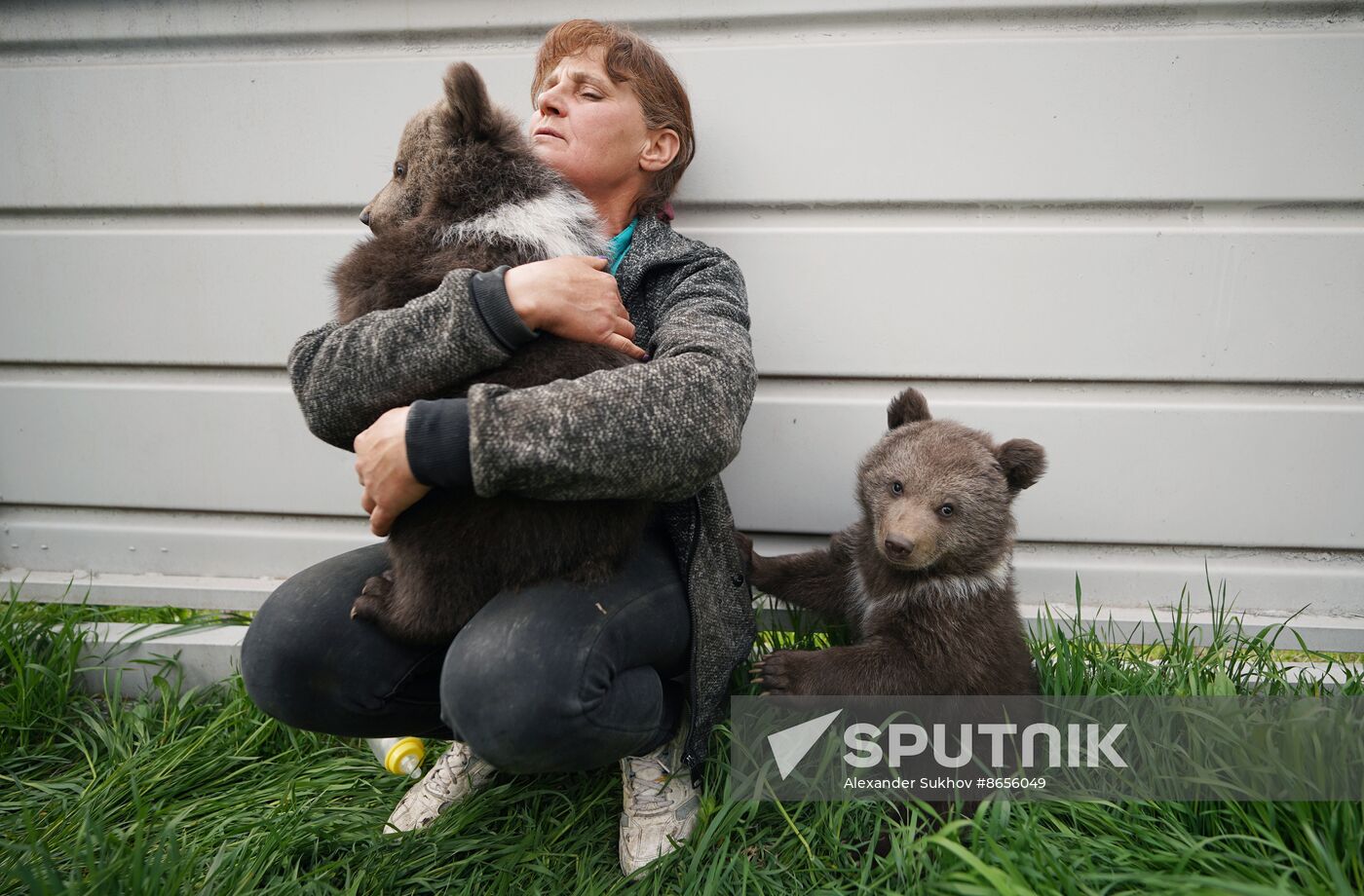 Russia DPR Zoo Bear Cubs