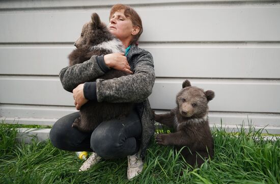 Russia DPR Zoo Bear Cubs