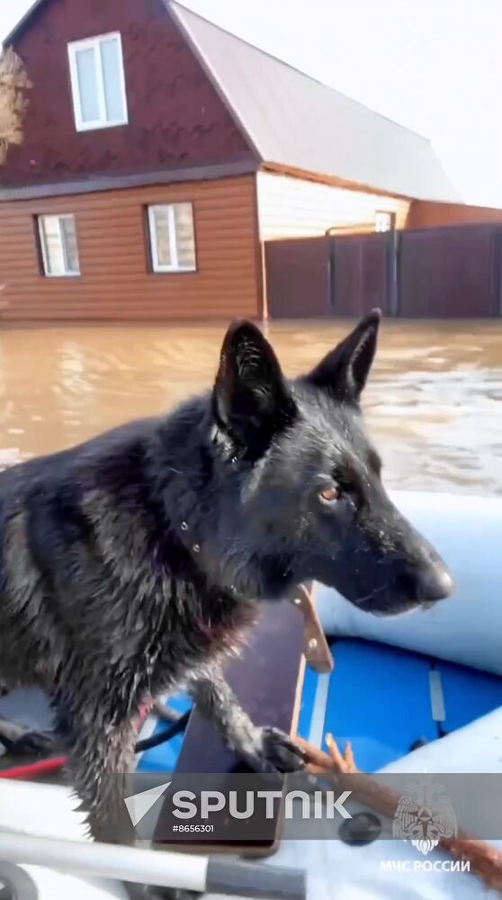 Russia Floods