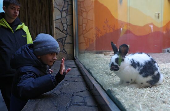 Russia Ukraine Shelling Zoo