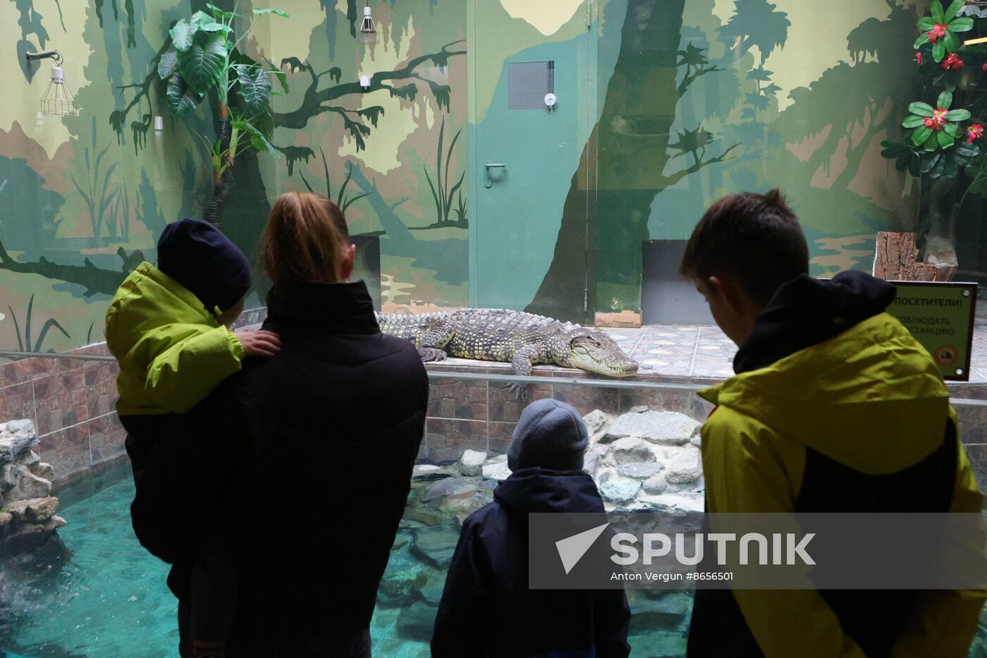 Russia Ukraine Shelling Zoo