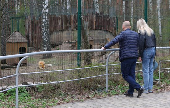 Russia Ukraine Shelling Zoo