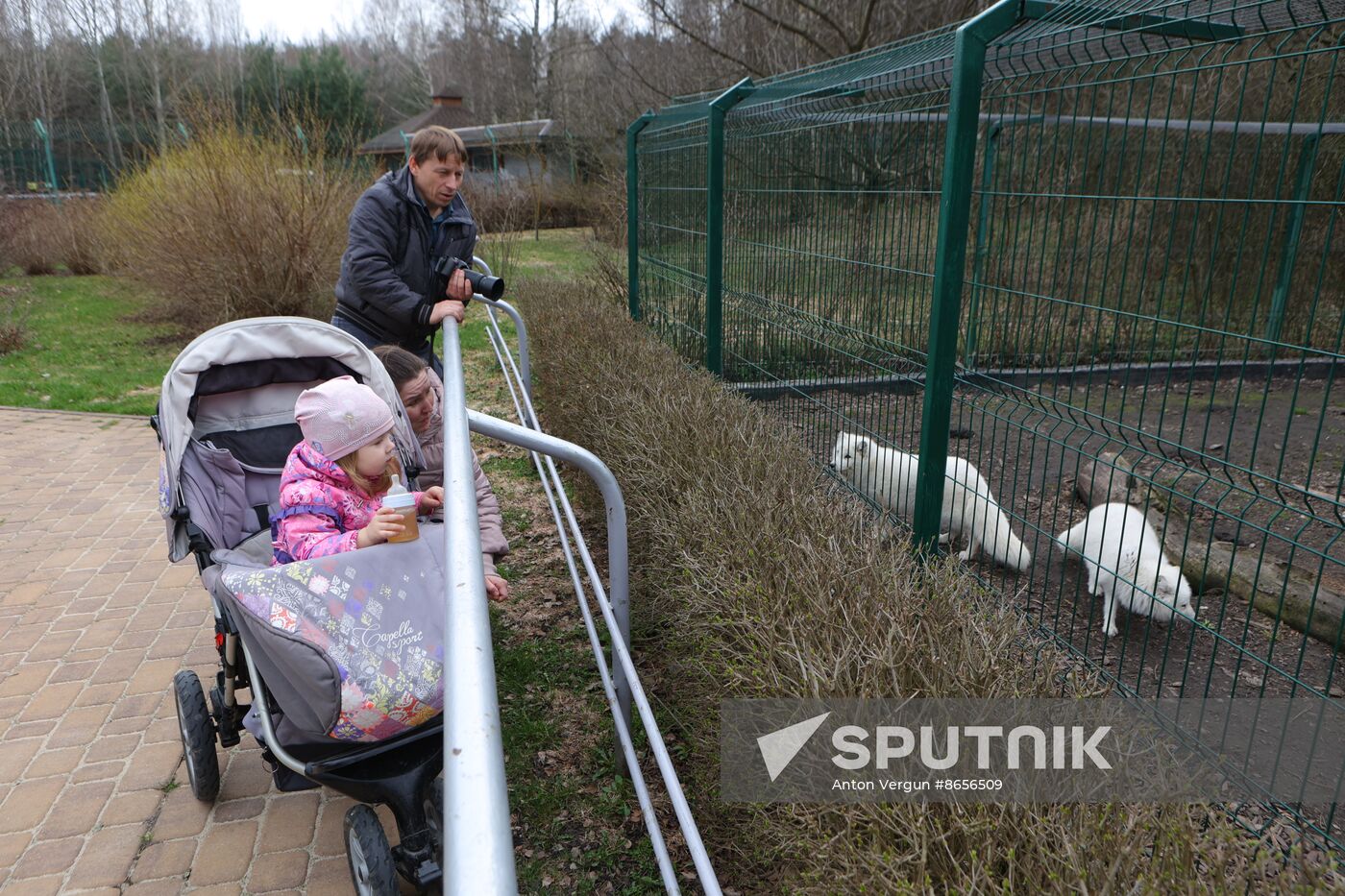 Russia Ukraine Shelling Zoo