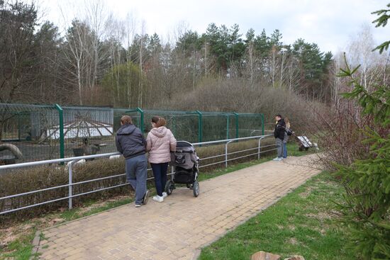 Russia Ukraine Shelling Zoo