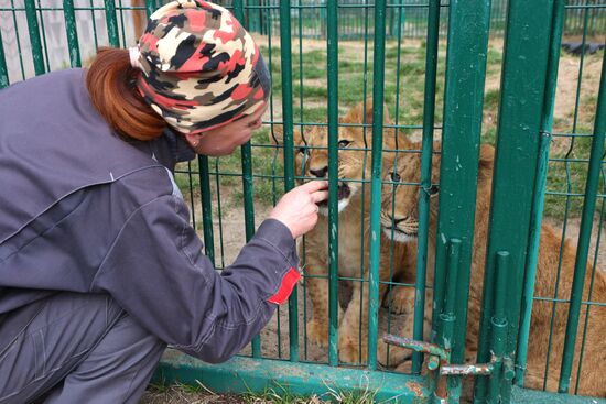 Russia Ukraine Shelling Zoo