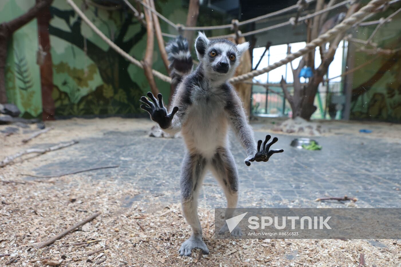 Russia Ukraine Shelling Zoo