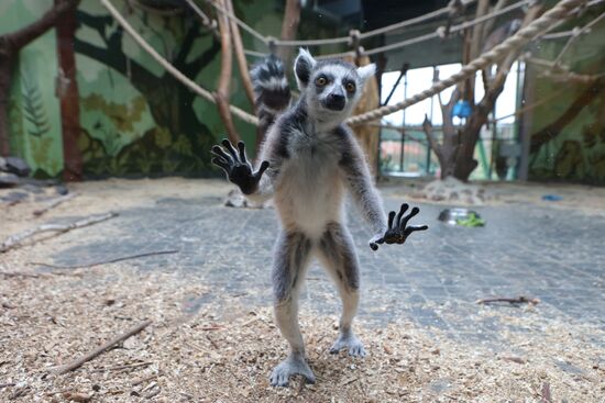 Russia Ukraine Shelling Zoo