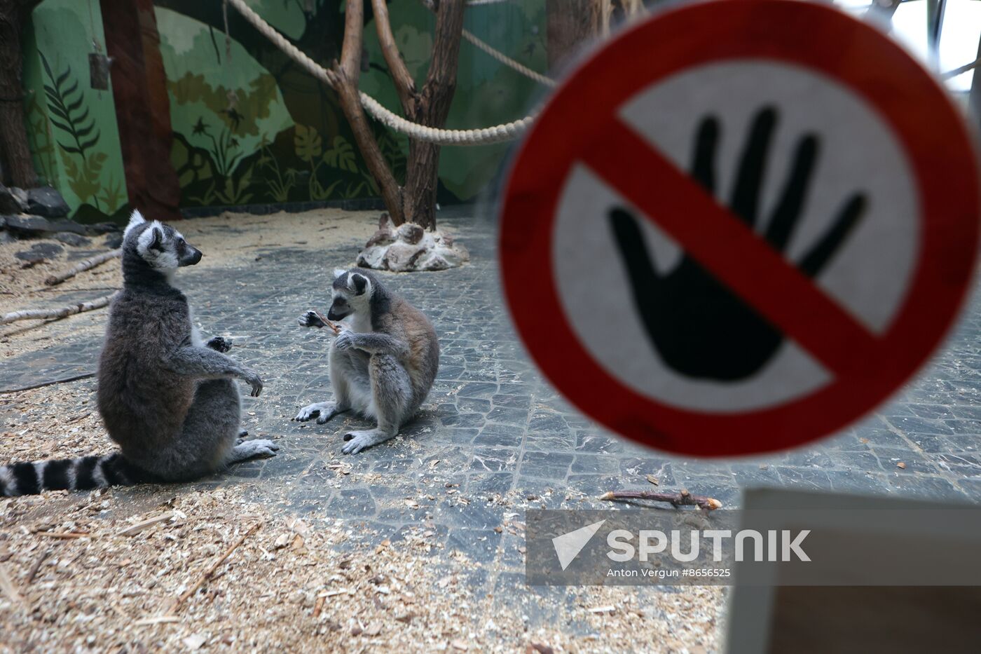 Russia Ukraine Shelling Zoo