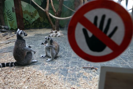 Russia Ukraine Shelling Zoo