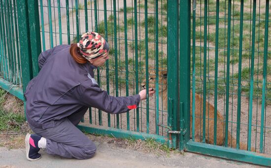 Russia Ukraine Shelling Zoo