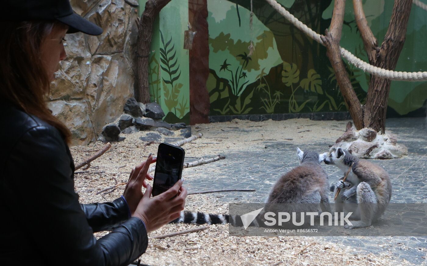 Russia Ukraine Shelling Zoo