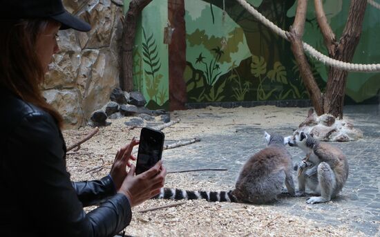 Russia Ukraine Shelling Zoo